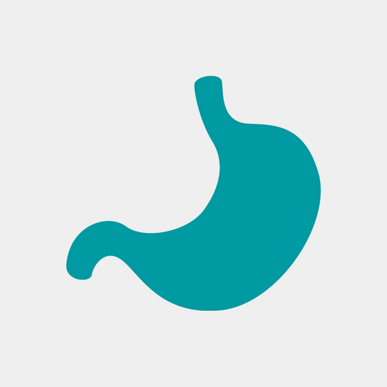 Icon of human digestive system