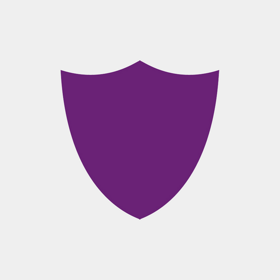 Icon of purple shield