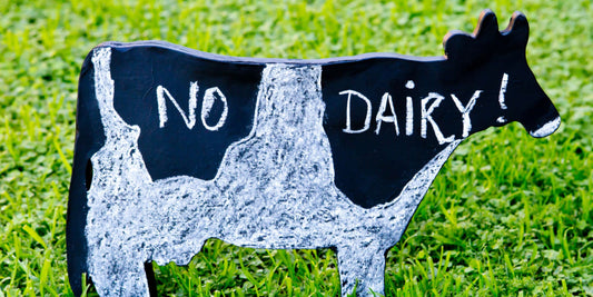 cardboard cutout of cow standing in a paddock with No Dairy written on its side
